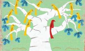 Teaching Tolerance illustration with yellow birds on a tree and only one red bird