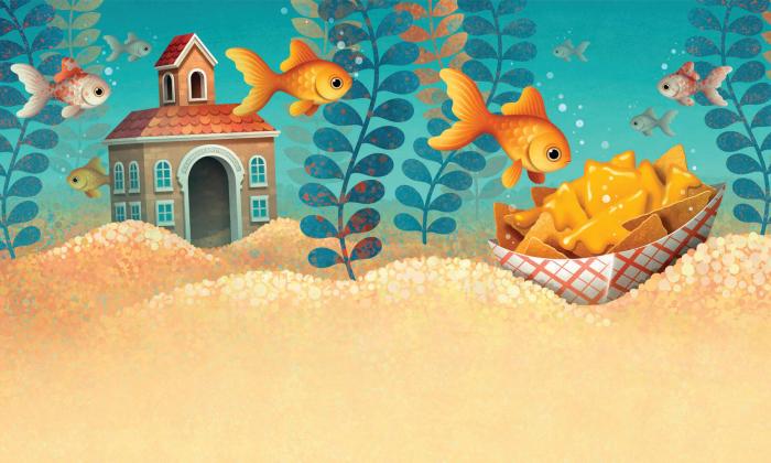 Story Corner illustration featuring fish swimming.