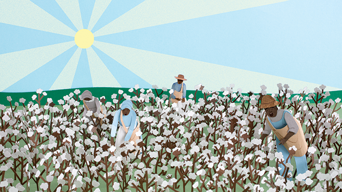 Illustration of enslaved people working in a cotton field.