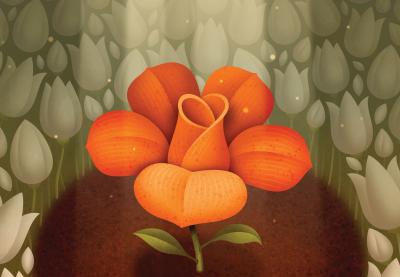 Illustration of an orange flower given space among many white flowers