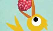 A yellow bird holds a raspberry in her long beak. The sun shines in the background.