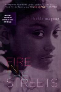 Fire in the Streets book cover