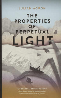 Book cover of 'The Properties of Perpetual Light.'